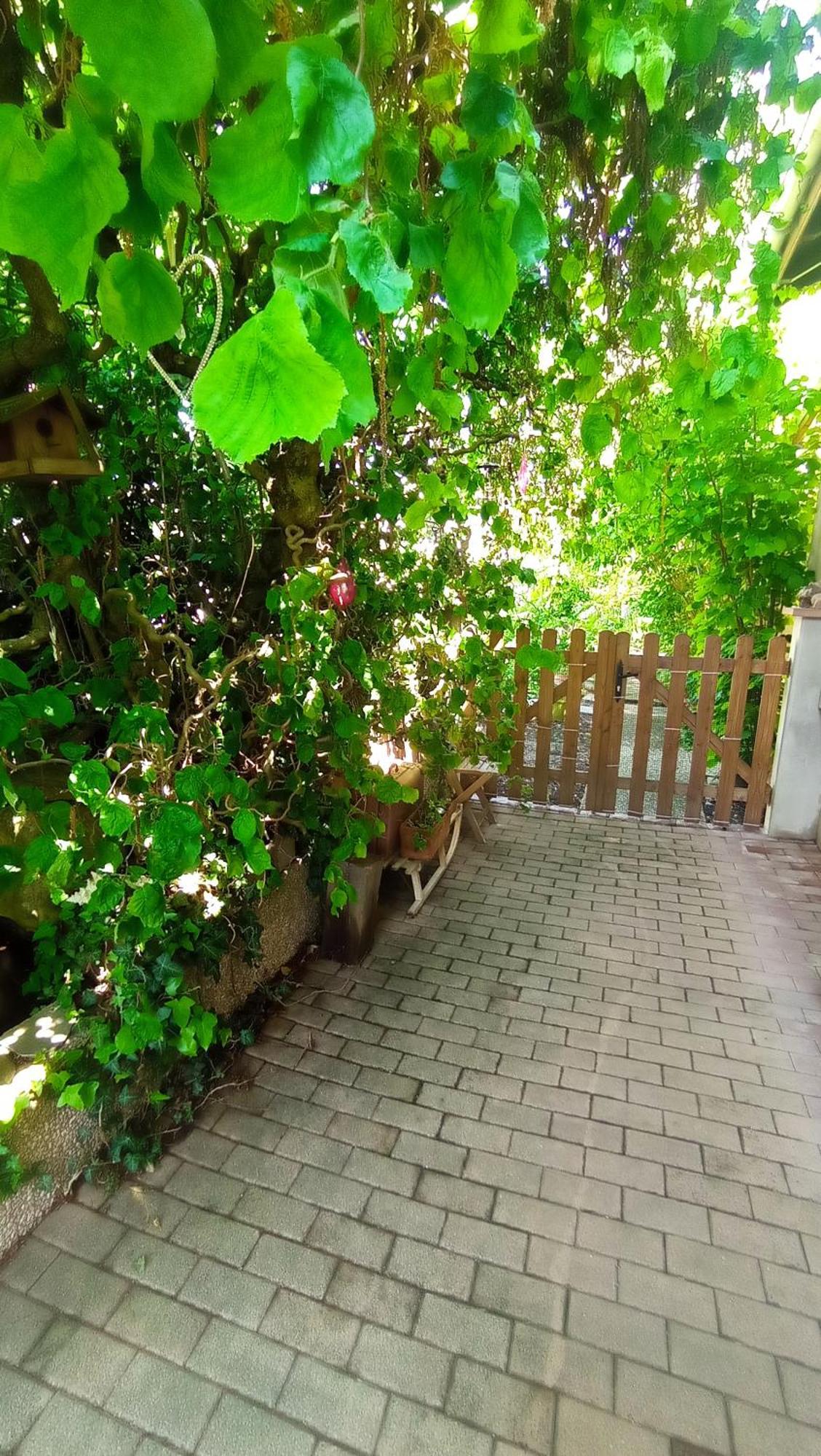 Garden Duplex Apartment Sundhoffen Exterior photo